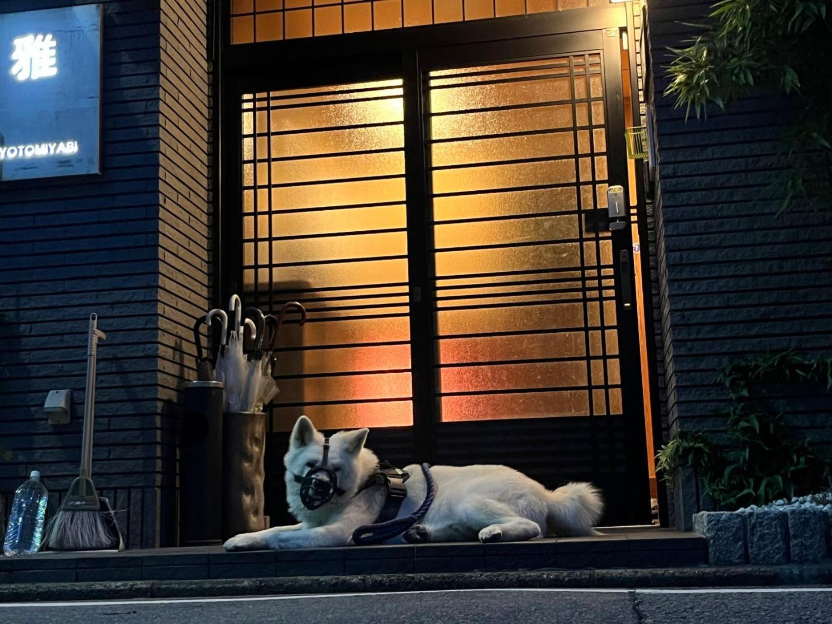 雅 Hotell Kyoto Eksteriør bilde